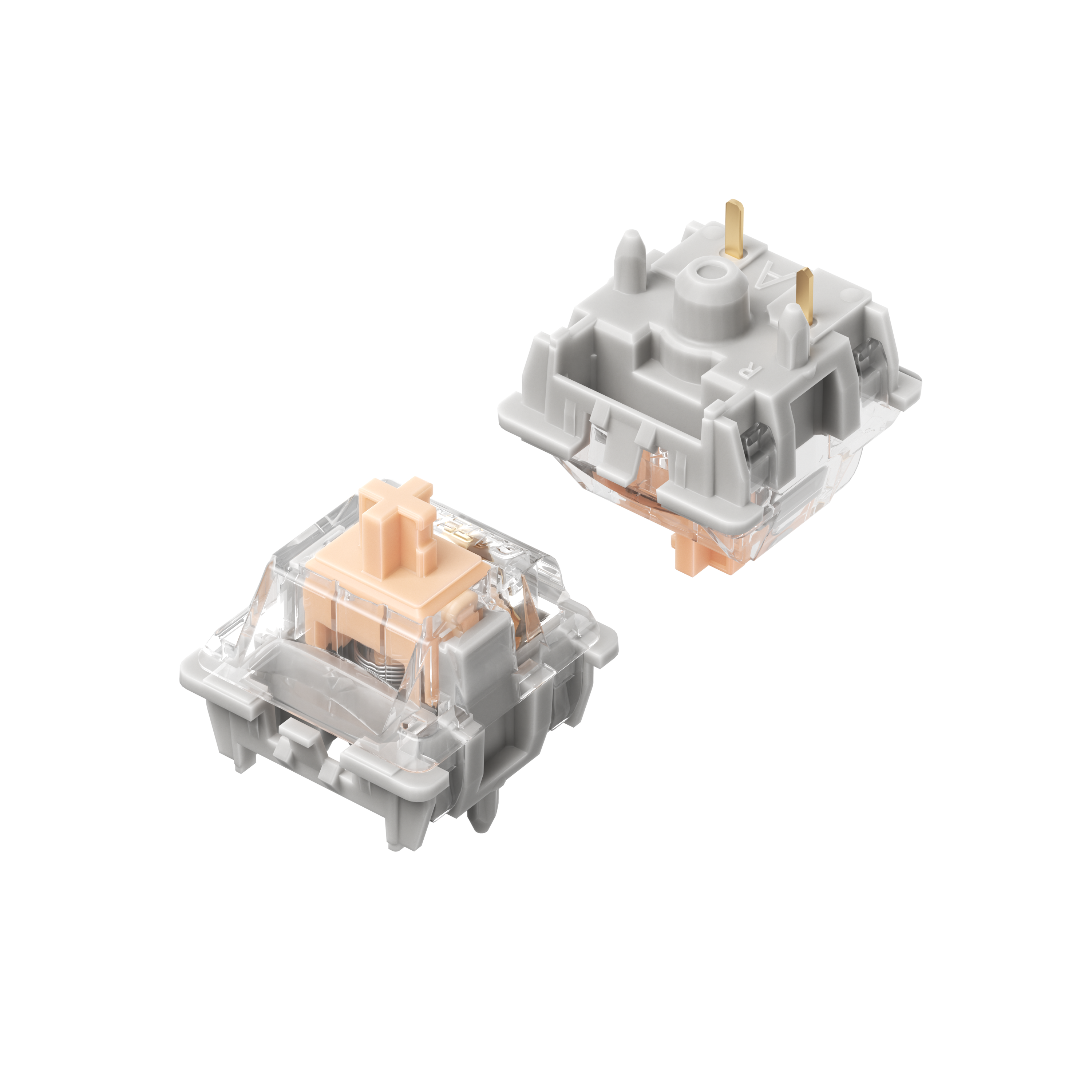 NuPhy Max Switches